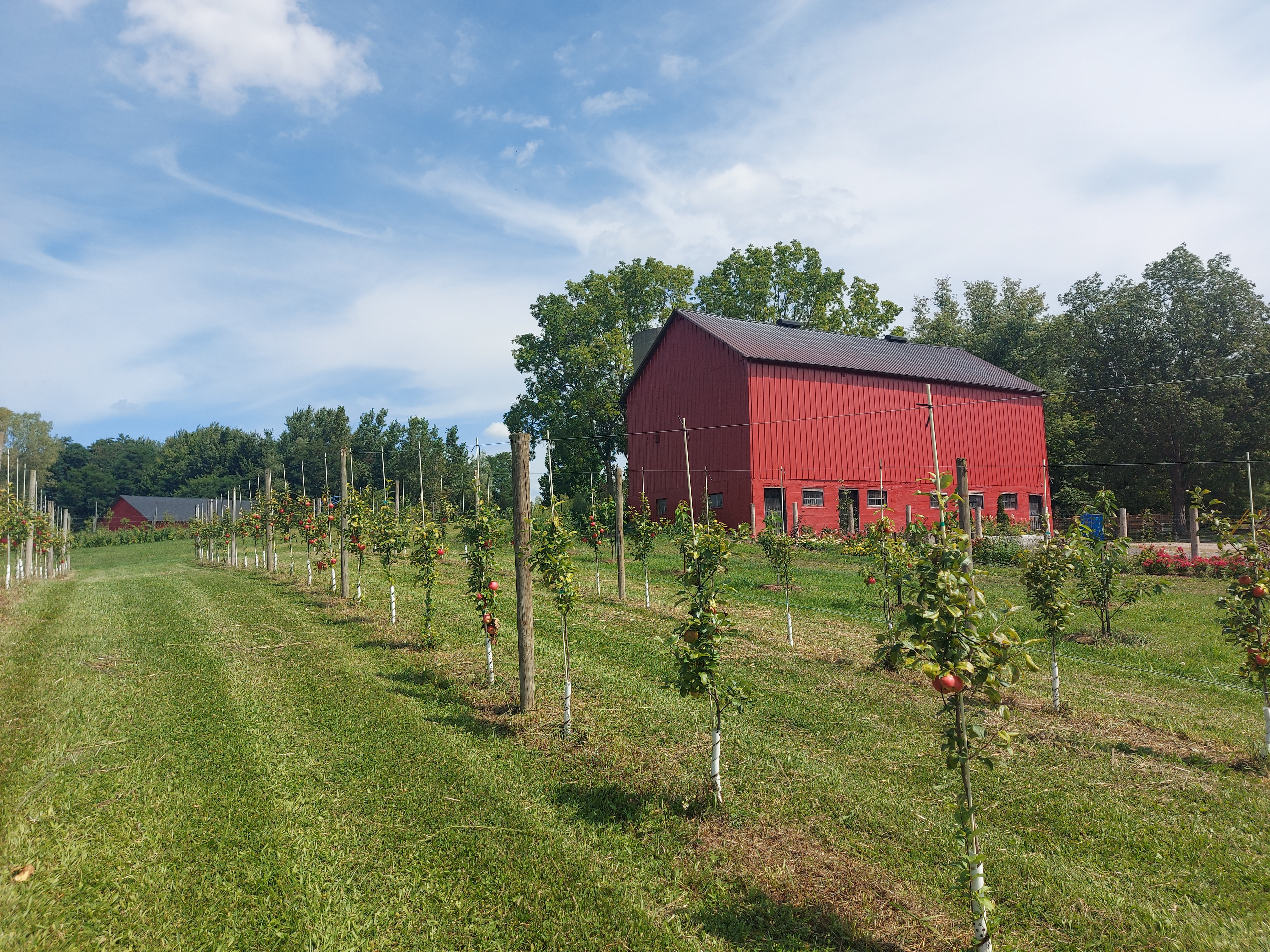 https://www.doorsopenontario.on.ca/events/along-the-grand/creek-view-acres-nursery-orchard/20240823_123945.jpg?utm_source=chatgpt.com