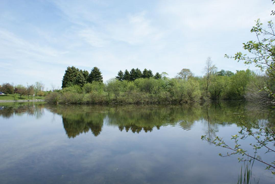 Loafers Lake