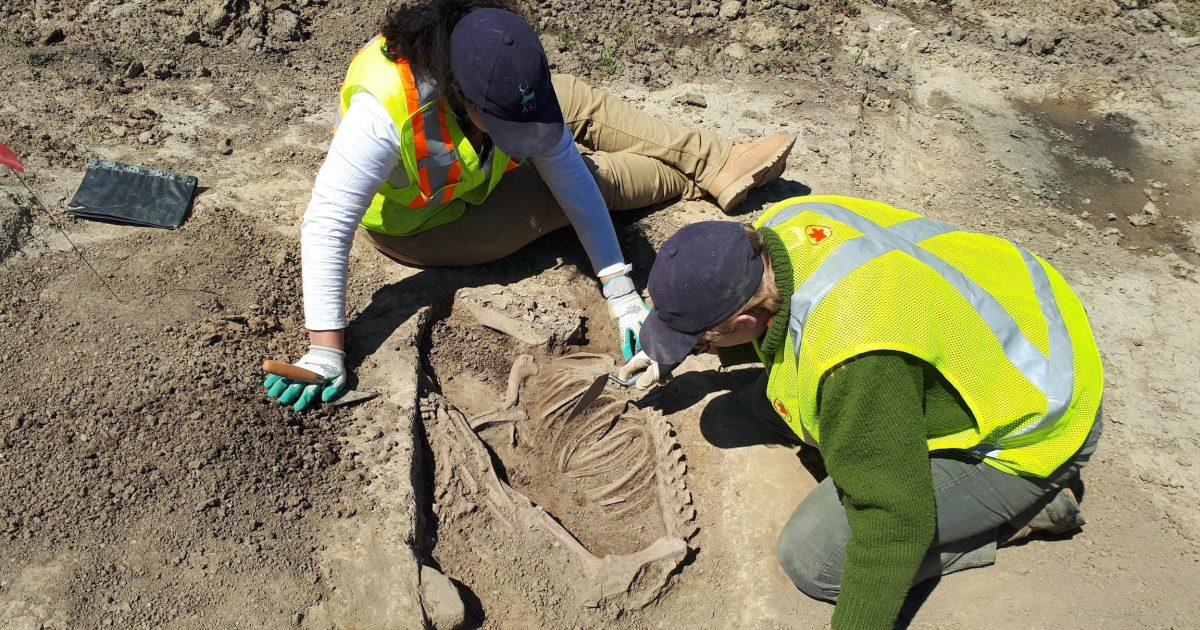 Doors Open Ontario Archaeological Services Inc. (ASI)