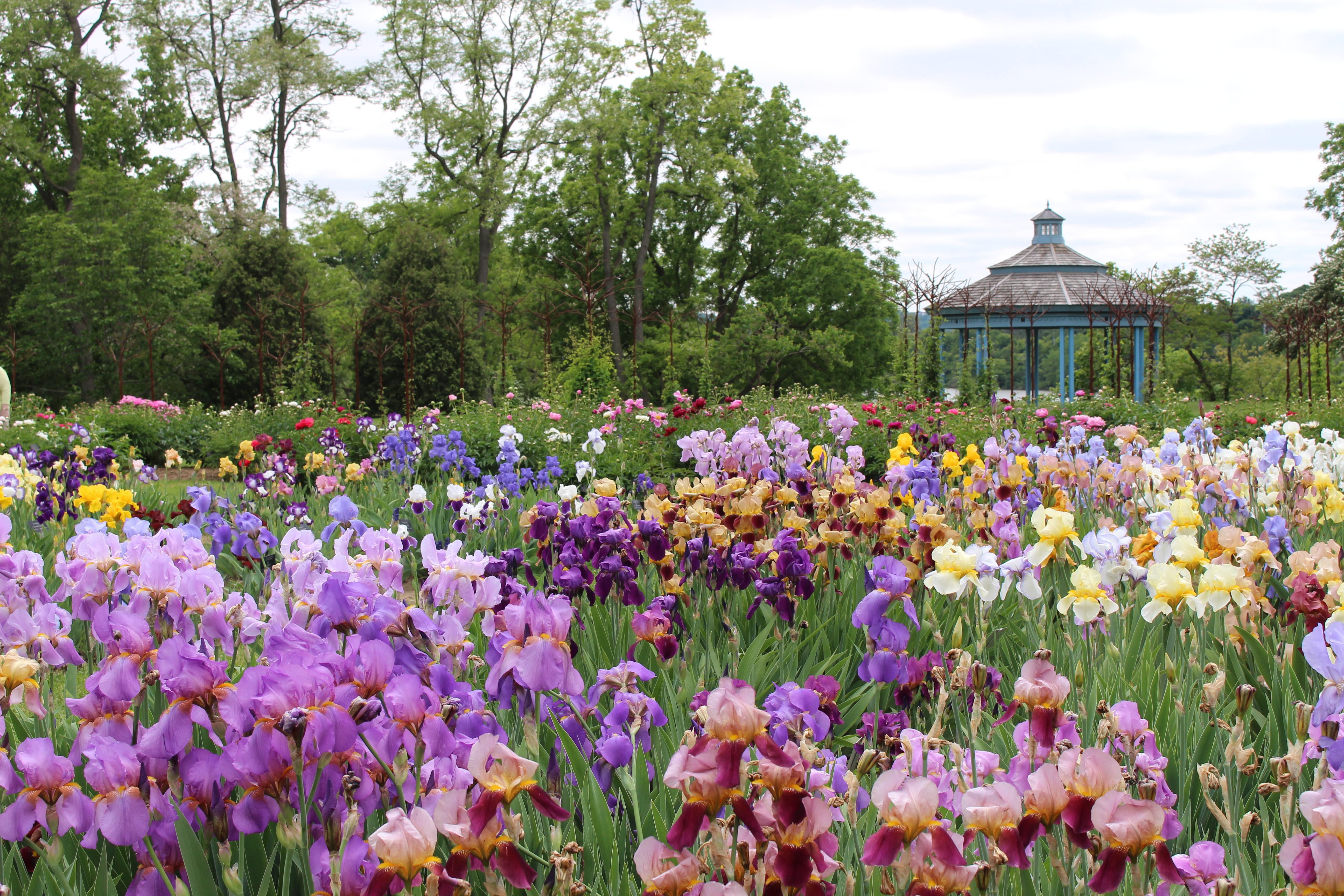 Royal Botanical Gardens