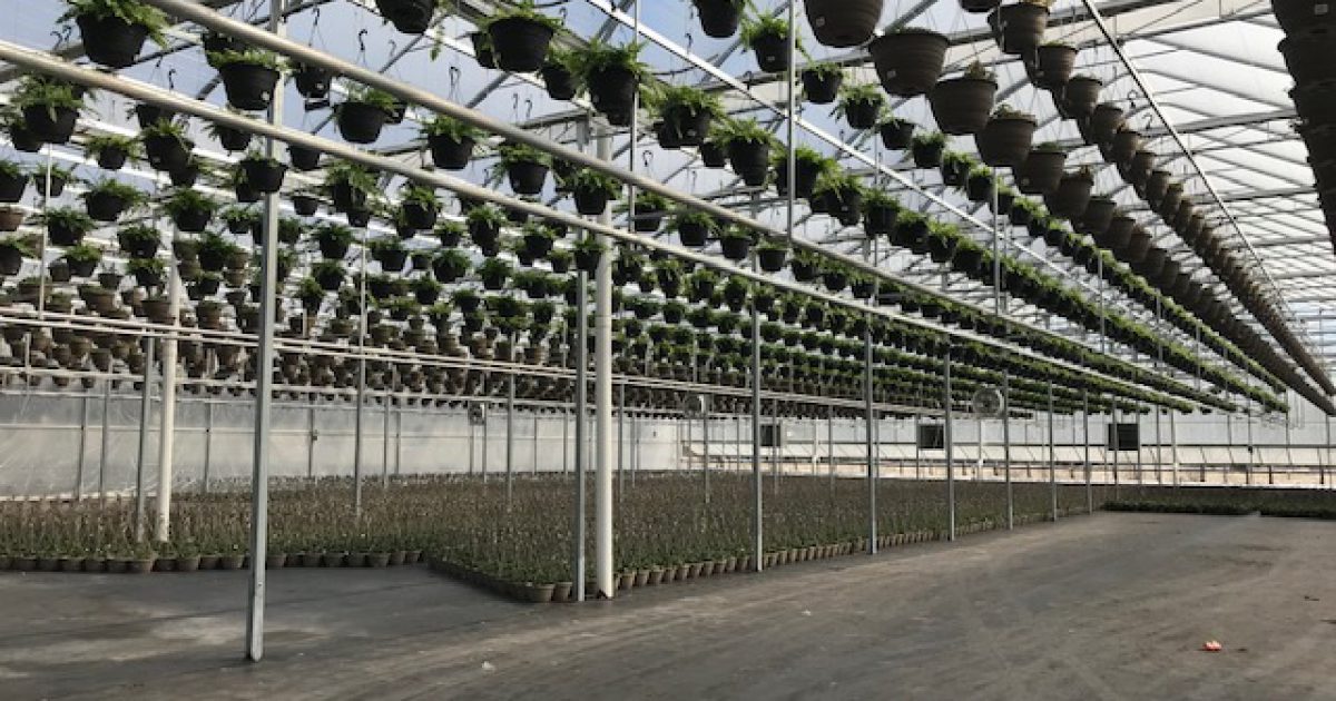 Doors Open Ontario Rekker Greenhouses