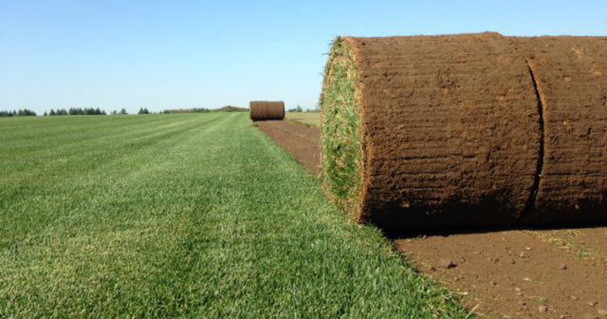 Doors Open Ontario Vissers Nursery and Sod Farm