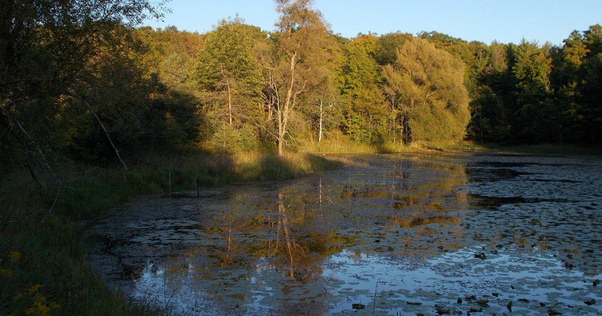 Doors Open Ontario Trails Open Guelph's Kettle Lakes