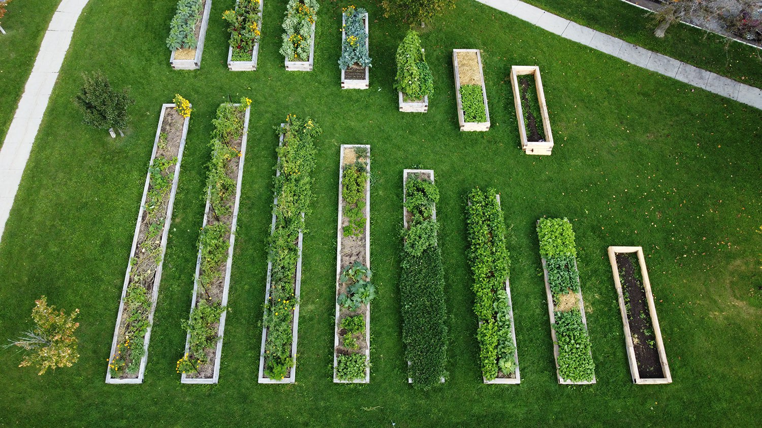 Doors Open Ontario - Loving Spoonful: Community Training Farm