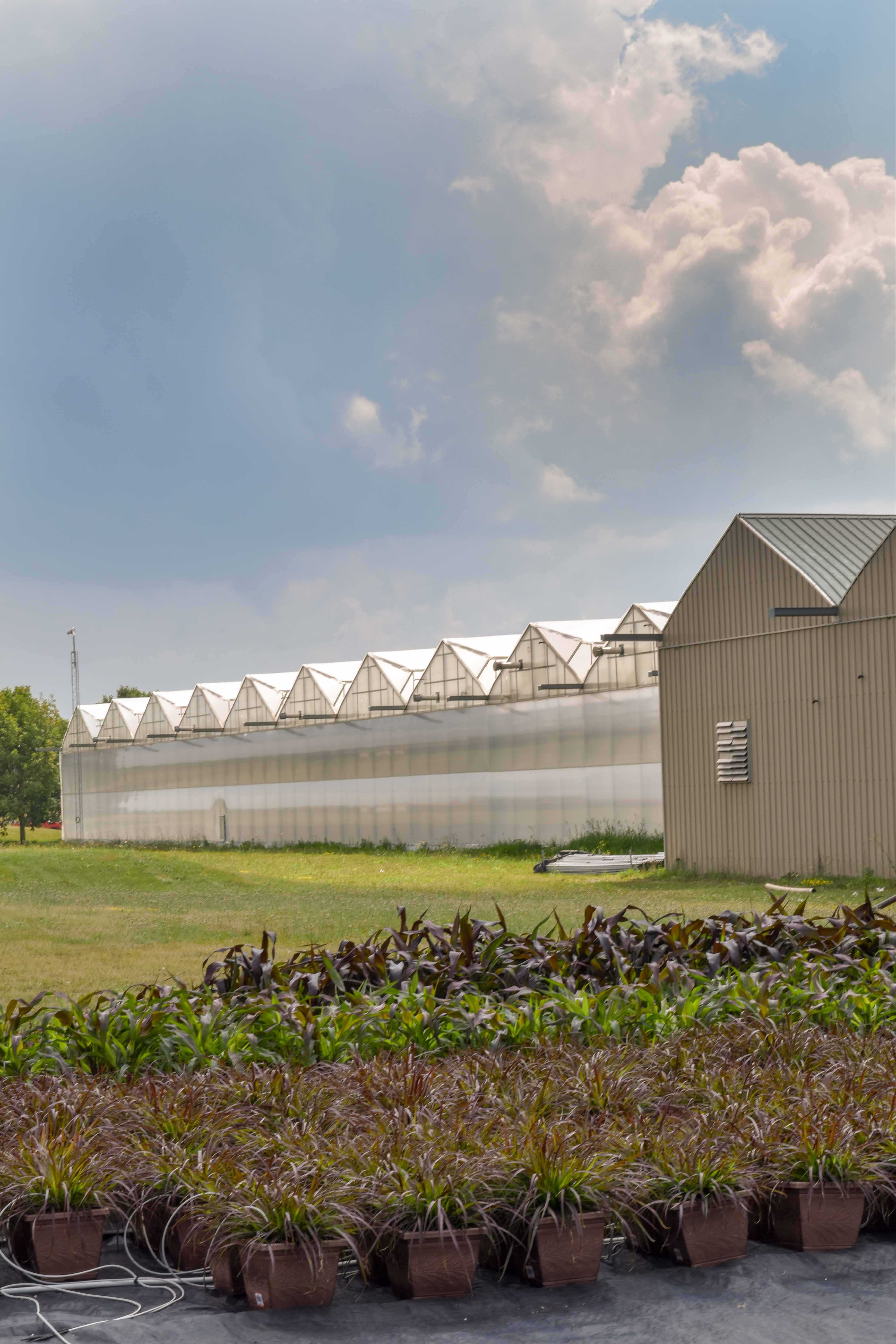 Portes Ouvertes Ontario Cherry Creek Greenhouses