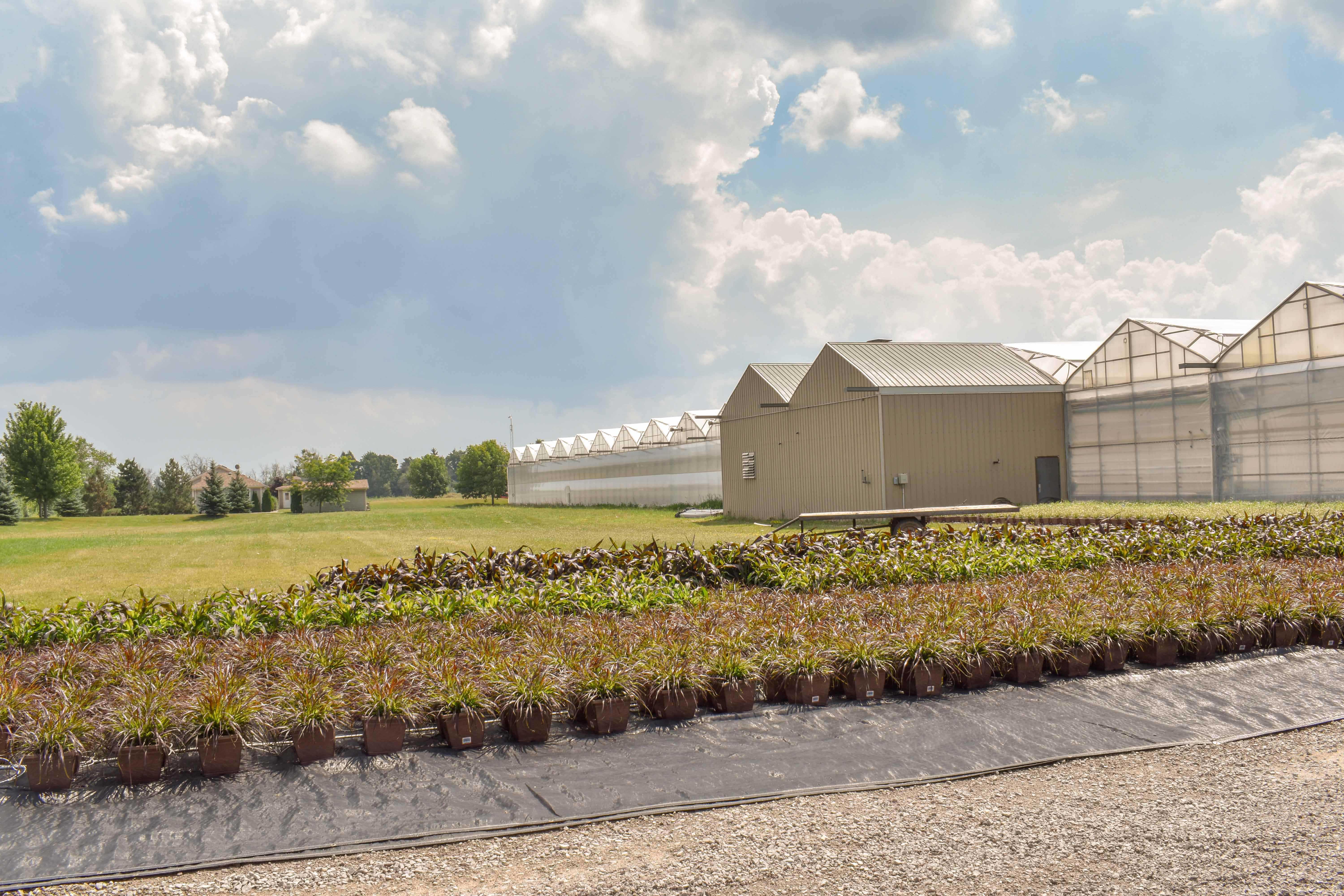 Portes Ouvertes Ontario Cherry Creek Greenhouses