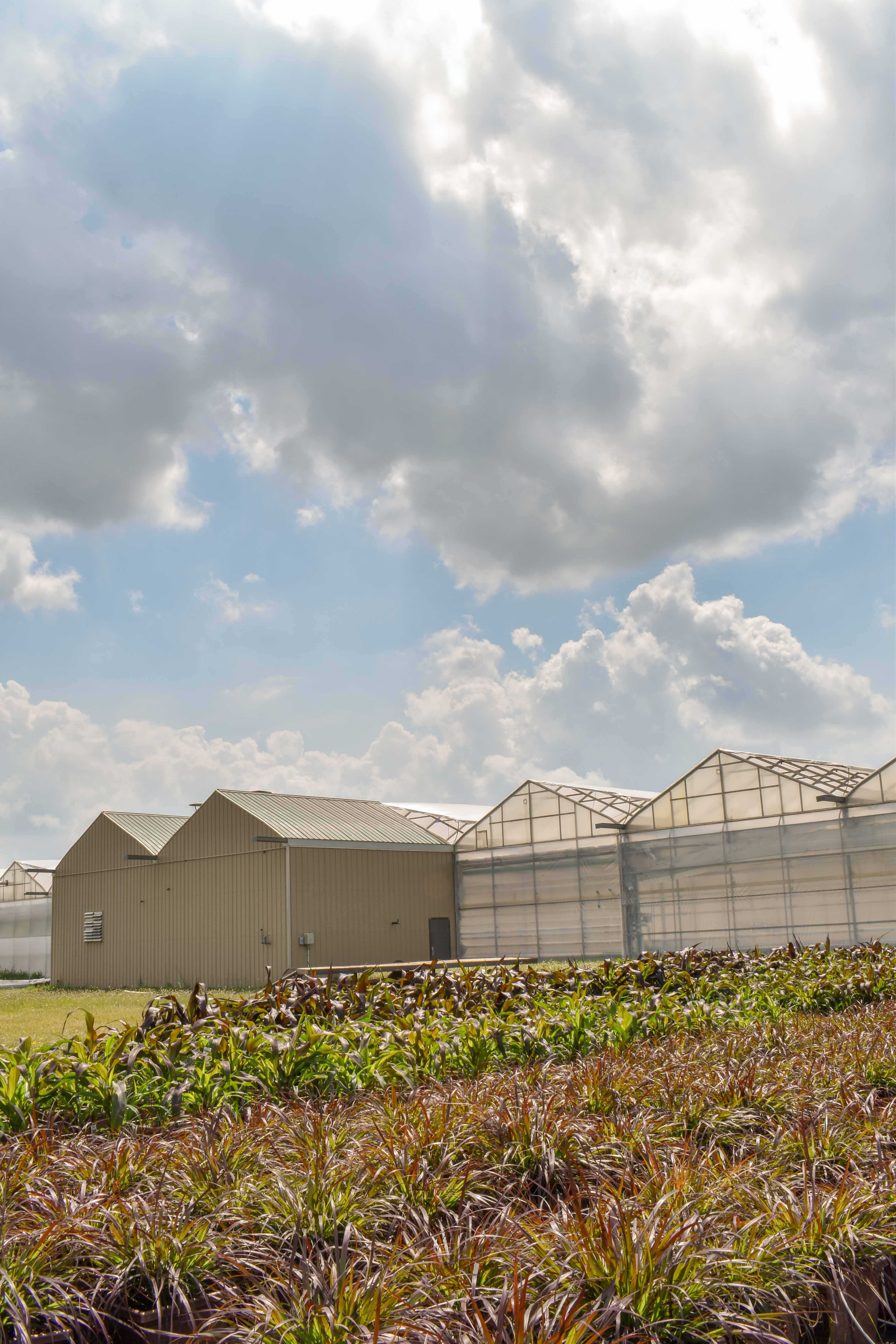 Portes Ouvertes Ontario Cherry Creek Greenhouses