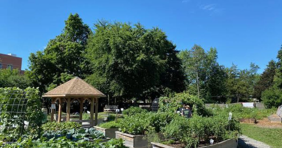 Doors Open Ontario Alexandra's Bounty Community Garden