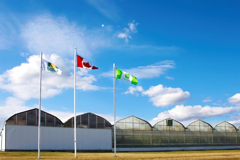 Doors Open Ontario Suntech Greenhouses Ltd.