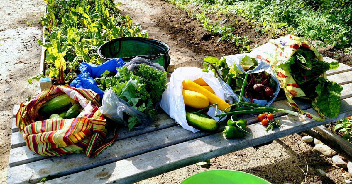 Doors Open Ontario Quinte West GardensGrowing Community