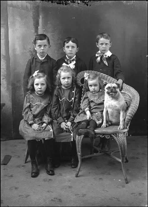 Trois filles assises, trois garçons debout et un chien (1895-1910) (Fonds des frères Bartle, Archives publiques de l’Ontario)