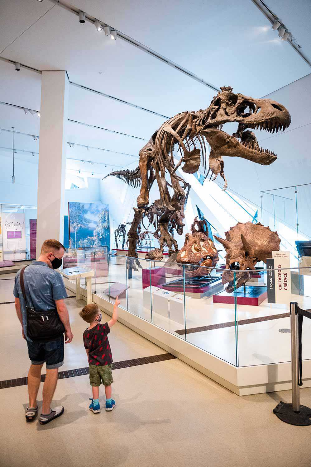 Royal Ontario Museum Architecture