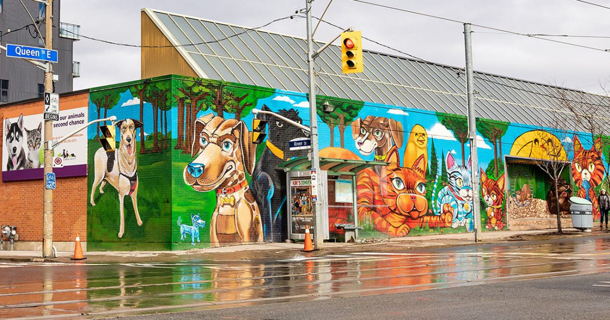 Doors Open Ontario Toronto Humane Society