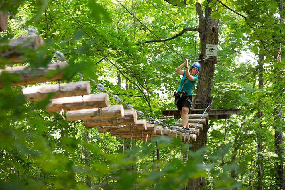 Doors Open Ontario Treetop Trekking Stouffville