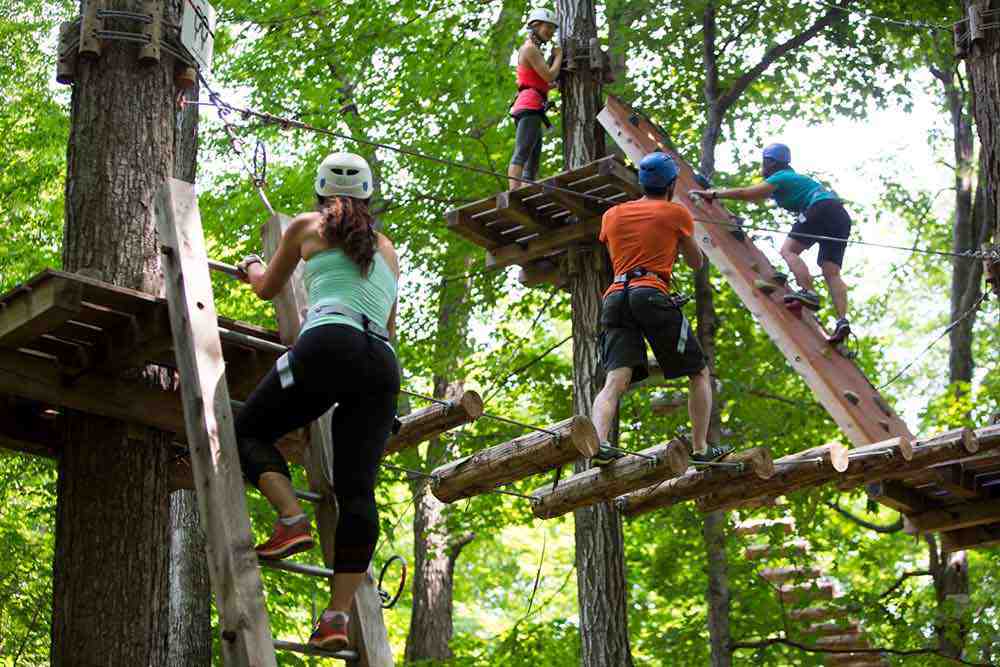 Doors Open Ontario Treetop Trekking Stouffville
