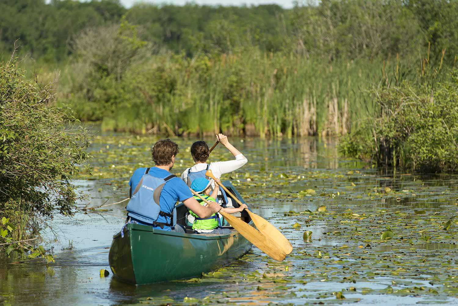 Wye Marsh Wildlife Centre